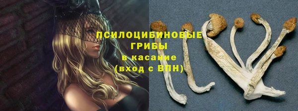гидропоника Кукмор
