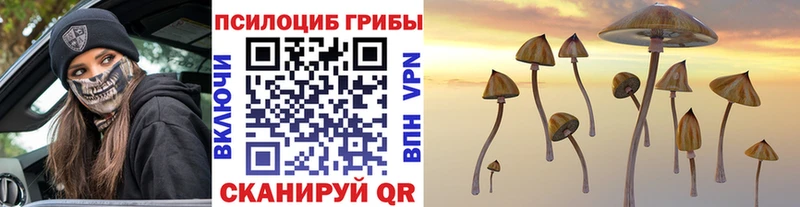 Галлюциногенные грибы ЛСД Талица